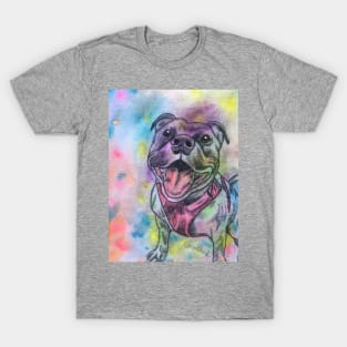 Staffordshire Bull Terrier Rainbow T-Shirt